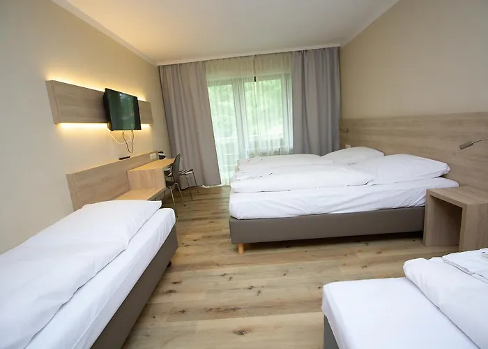 Hotel Ahorn 3*